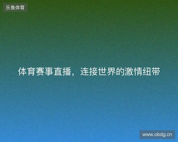 体育赛事直播，连接世界的激情纽带