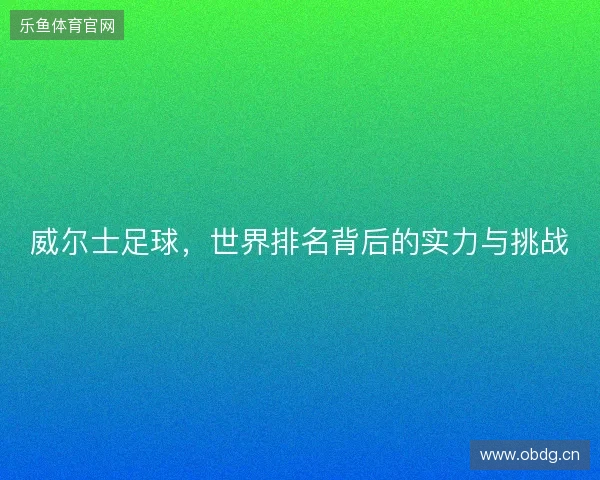 威尔士足球，世界排名背后的实力与挑战